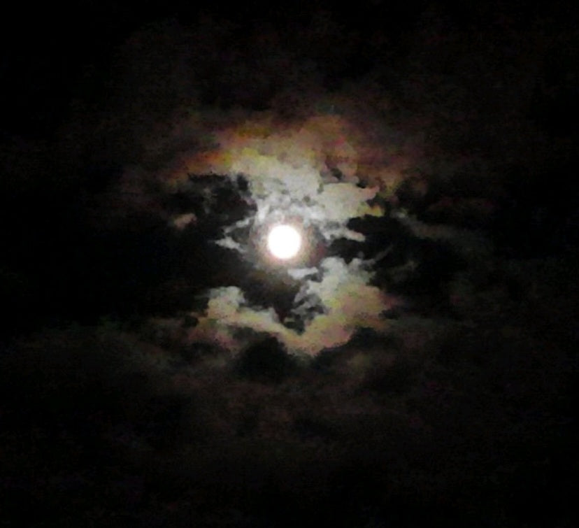 LIGE W610 AI Smart Glasses- Record, Translate, Stay Connected Hands Free